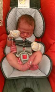 Kaiden, our newest addition.